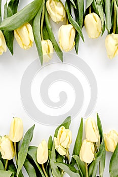 Flower border frame made of yellow and beige buds tulip on a white background. The apartment lay, top view. Floral