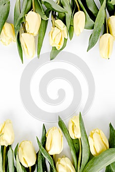 Flower border frame made of yellow and beige buds tulip on a white background. The apartment lay, top view. Floral