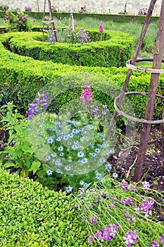 Flower border French style, Tuileries Garden photo