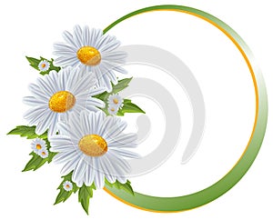 Flower borders. Bouquet camomile isolated.