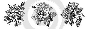 Flower bouquet of black and white dog rose, hop, jerusalem artichoke
