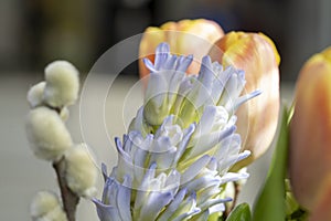 Flower bouquet closeup macro photo.
