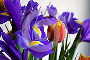 Flower bouquet detail with irises and tulips