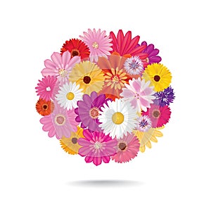 Flower bouquet. Floral posy isolated on white background.