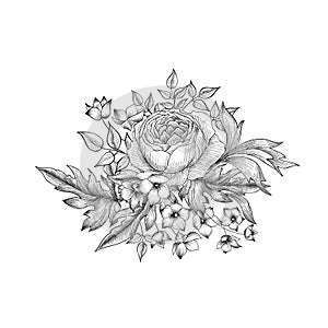 Flower bouquet. Floral sketch engraving background