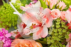 Flower bouquet, inca lily