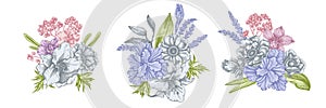 Flower bouquet of pastel anemone, lavender, rosemary everlasting, phalaenopsis, lily, iris