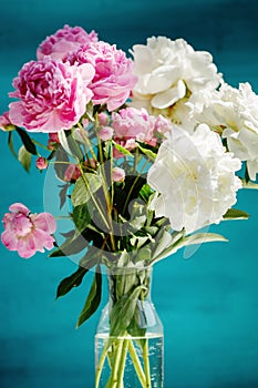 Flower bouquet of pink natural peonies flowers in a vase over turquoise background