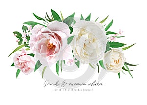 Flower bouquet with pink peony, cream white rose flowers, green leaves. Vector watercolor editable illustration. Wedding