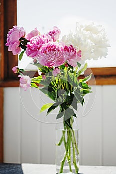 Flower bouquet of pink and white fresh peony flowers in a vase in sunshine