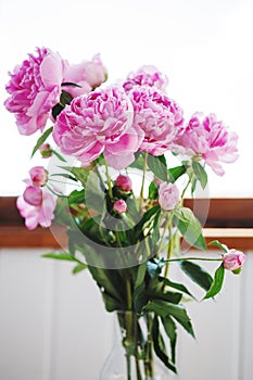 Flower bouquet of pink and white fresh peony flowers in a vase in sunshine