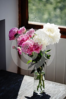 Flower bouquet of pink and white fresh peony flowers in a vase in sunshine, spring and summer