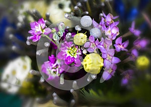 Flower bouquet, purple and yellow flower