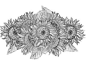 Flower bouquet with sunflowers line art