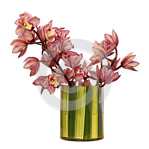 Flower bouquet on the vase, isolated white background.