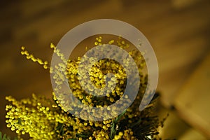 Flower bouquet. Yellow mimosa