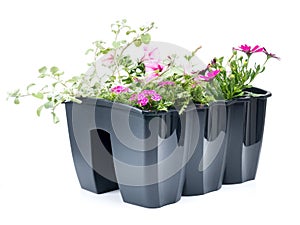 Flower box