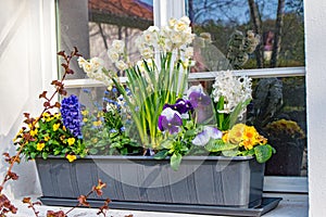 Flower box with various flowers