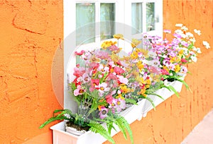 Flower box in window