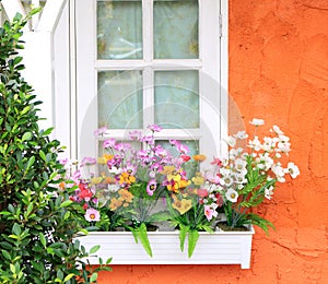 Flower box in window