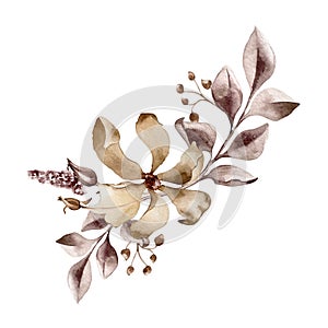Flower and branch Monochrome arrangement in watercolor maroon color. Abstract plants in dark brown color isolated