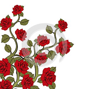 Flower branch roses, bouquet of flowers. Ornament with red roses.