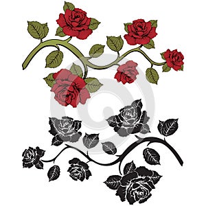Flower branch roses. Set of red and black branches. Floral print.