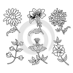 Flower branches black outline set