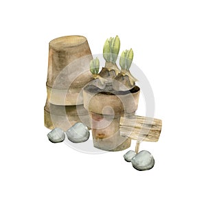 Flower brown pot with spring bulbs, wooden realistic sign for garden and stones watercolor illustration. Gardening rural