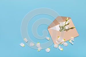 Flower bud flat lay in an envelope lisianthus or eustoma, on pastel blue background with copy space. Concept for