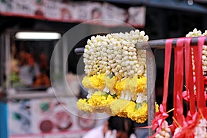 Flower for the buddha