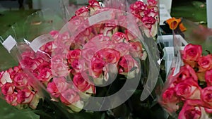 Flower business on 8 March the best gift would be roses for girls