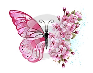 Flower butterfly with pink sakura