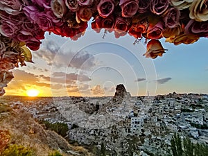 Flower of Capadocia