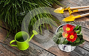 Flower and care for him