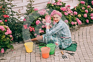 Flower care and watering. soils and fertilizers. Greenhouse flowers. happy woman gardener with flowers. hydrangea