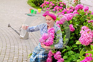 Flower care and watering. soils and fertilizers. woman care of flowers in garden. Greenhouse flowers. hydrangea. Spring