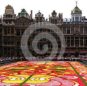 Flower carpet