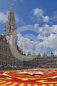 Flower Carpet in Brussels