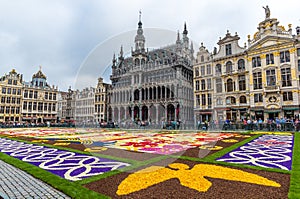 Flower carpet 2016 in Brussels