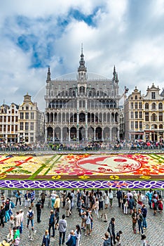 Flower carpet 2016 in Brussels