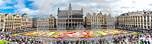 Flower carpet 2016 in Brussels