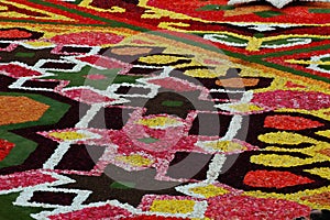 Closeup photo with traditional flower carpet in Brussels, Belgium at the Grand Place