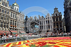 Flower carpet in Brussels