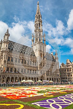 Flower Carpet in Brussels