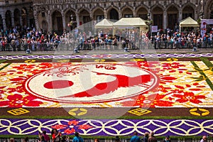 Flower Carpet in Brussels