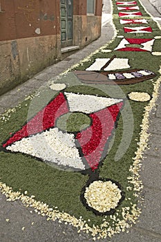 Flower carpet, Galicia, Spain photo