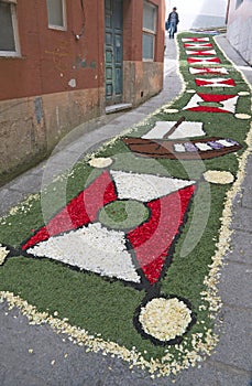 Flower carpet, Galicia, Spain