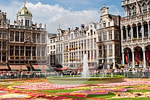 Flower carpet on Grande Place in Brussels