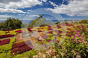 Flower carpet in Madeira Botanical Garden